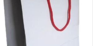 White Paper Bag