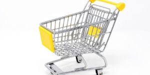 Stainless Steel Shopping Trolley