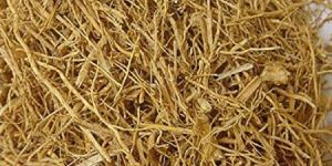 Raw Vetiver Root