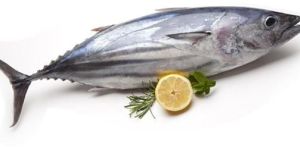 Fresh Tuna Fish