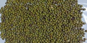 GREEN GRAM MOONG3