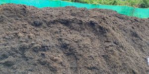 Coco Peat Powder