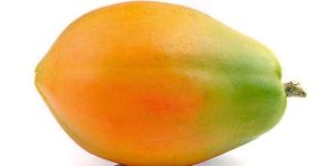 Fresh Papaya