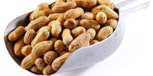 Shelled Peanuts