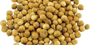 Coriander Seeds