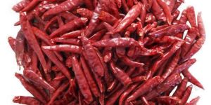 Raw Red Chilli