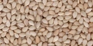 Raw Sesame Seeds