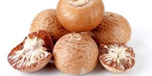 Areca Nuts