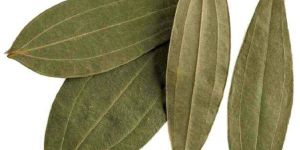 Bay Leaf, Bay Leaf Powder