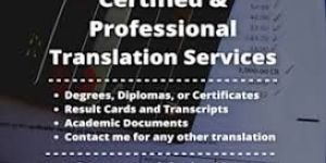 Chat Translation for Spousal Visa