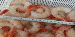Peeled & Deveined Shrimp