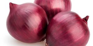 Onion