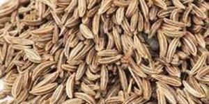999 Cumin Seeds
