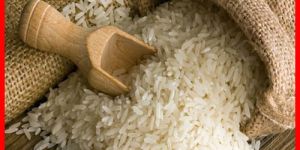 GR 11 Basmati Rice