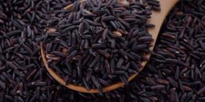 Organic Black Rice