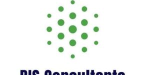 BIS Consultancy Service