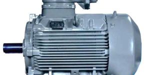 Flame Proof Motor