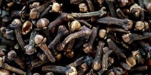 Clove Seeds