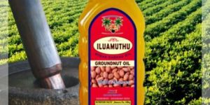 Groundnut Oil