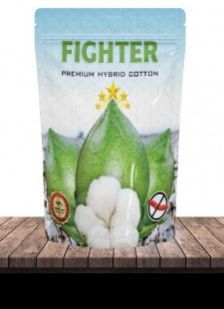 Cotton Hybrid Seeds