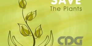 NAAC Green Audit in Kolkata