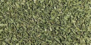 Fennel Seeds