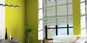 Roman Interior Blind