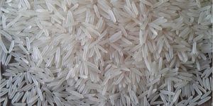 1509 Creamy Sella Basmati Rice
