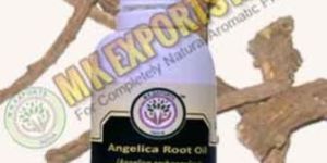 Angelica Root Essential Oil