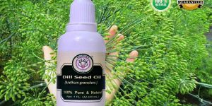 Dill Seed Oil