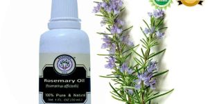 Rosemary Essential Oil