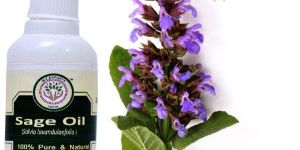 Sage Essential Oil