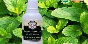 Spearmint Essential Oil
