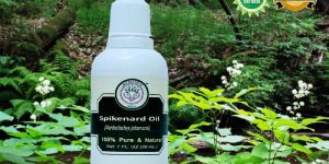 Spikenard Essential Oil