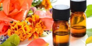 Tagetes Essential Oil