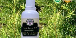 Tea Tree Essential Oil