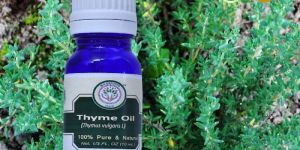 Thyme Essential Oil
