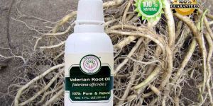 Valerian Root Oil
