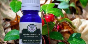 Wintergreen Essential Oil