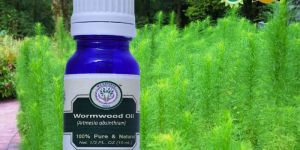 Wormwood Essential Oil