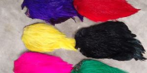 Domestic cock/ Hen Capes