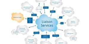 Liaison Services
