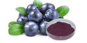 Blue Berry Extract