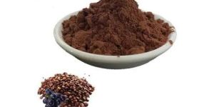 Grape Seed Extract
