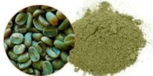 Green Coffee Bean Chlorogenic Acid Extract