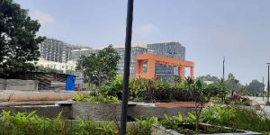 Stainless Steel Pole