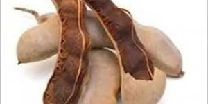 Raw Tamarind