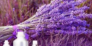 Lavender Oil