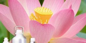 Lotus Oil