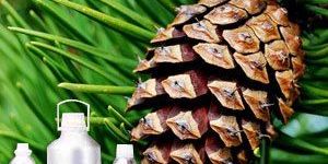 Pine Oil